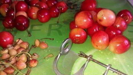 соус из черешни