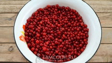 ткемали из красной смородины