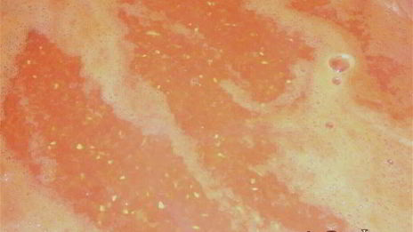 яблочно-томатный соус с корицей