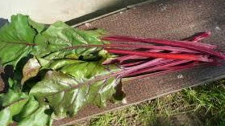 борщ свекольный