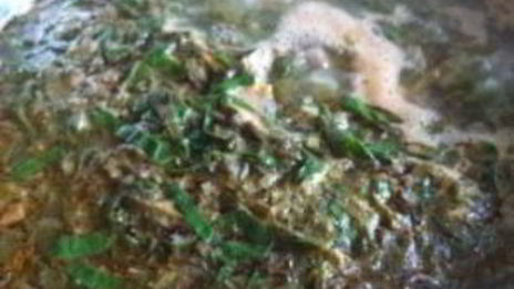 борщ зеленый со щавелем