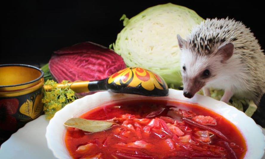 Рецепт борща