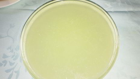 красный борщ из индейки