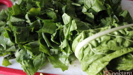 осенний зеленый борщ