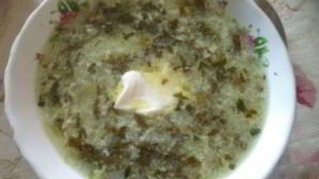 зеленый борщ без мяса