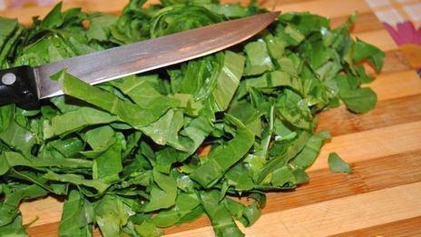 зеленый борщ по-украински