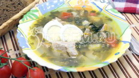 зеленый борщ с щавелем и черемшой