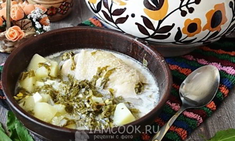 Рецепт зеленого борща в мультиварке