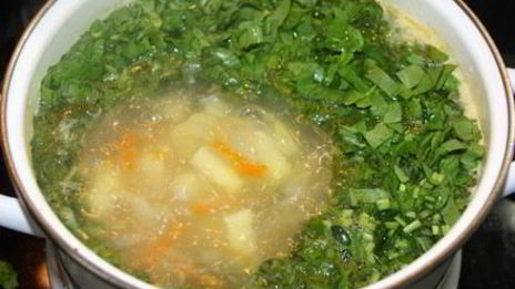 зеленый борщ