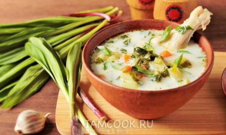 Рецепт чесночного супа из черемши