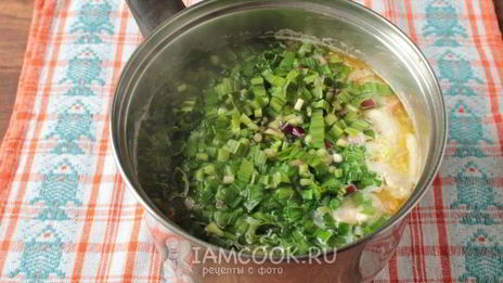 чесночный суп из черемши