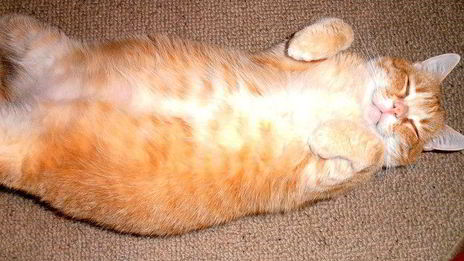 летний суп из 4-х злаков с яблоками и ревенем