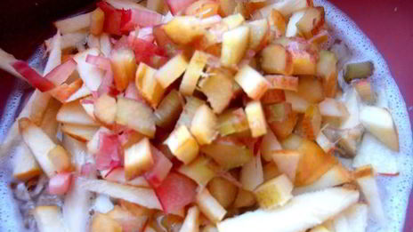 летний суп из 4-х злаков с яблоками и ревенем