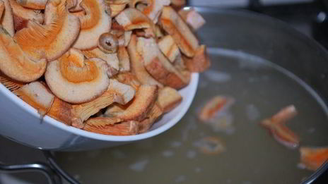 сливочный суп с рыжиками