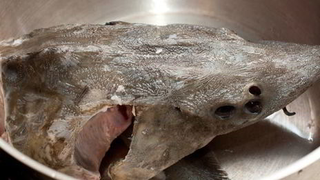 суп из осетрины