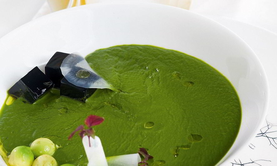 Рецепт супа из щавеля с желе из краснокочанной капусты