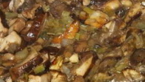 суп-пюре из лесных грибов