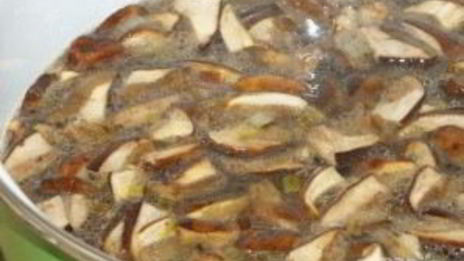 суп-пюре из лесных грибов