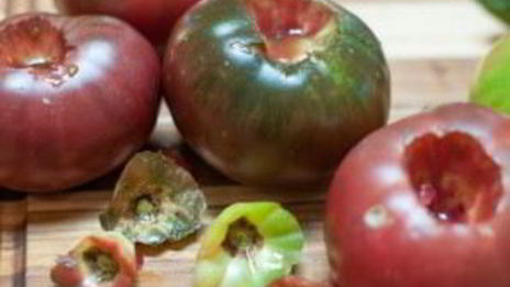 томатный суп-пюре итальянский