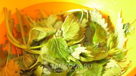 суп с крапивными клецками