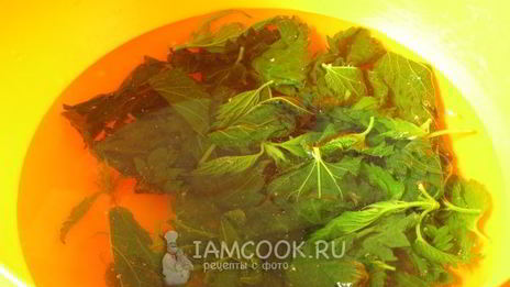 суп с крапивными клецками