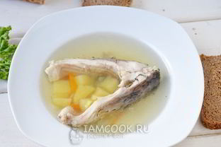 Уха из карпа