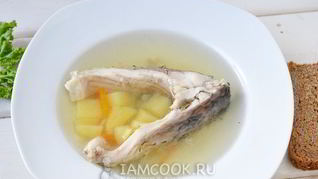 Уха из карпа