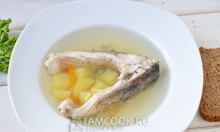 Рецепт ухи из карпа