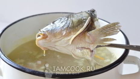 уха из карпа