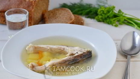 уха из карпа