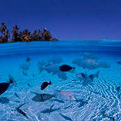 София Скрипаль