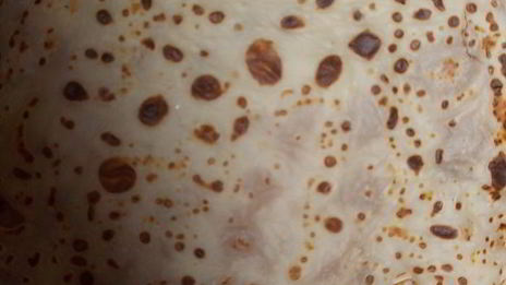 блинчики с зеленым паштетом из брокколи, зеленой фасоли и шампиньонов