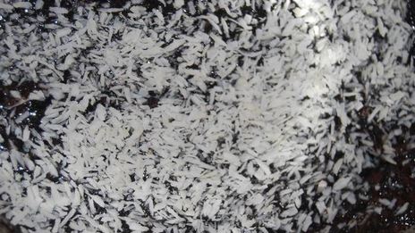 блины с маком