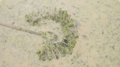 разноцветные блинчики