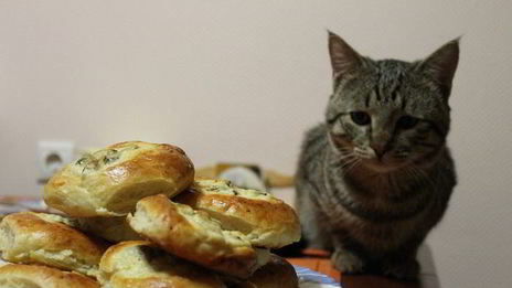 ватрушки с черносливом