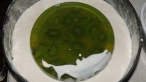 чизкейк с киви без выпечки