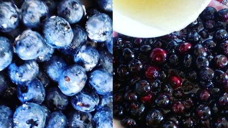 летний чизкейк с рикоттой и голубикой без выпечки