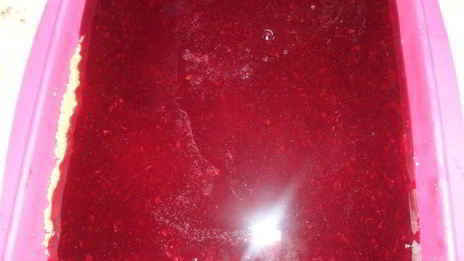 сметанно-смородиновый чизкейк