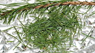 Английский рождественский кекс