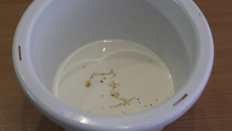 тыквенный кекс с клюквой и грецким орехом