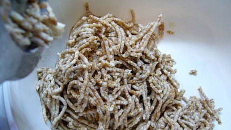 хлеб из цельной пшеницы