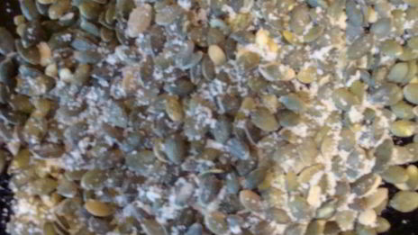 чесночная фокачча с майораном и тыквенными семечками