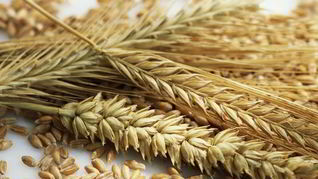 Ржаные лепешки