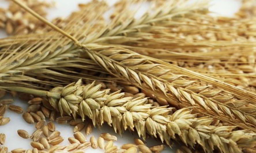 Рецепт ржаных лепешек