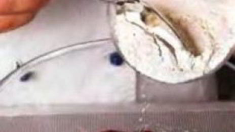 оладьи печеночные с луком