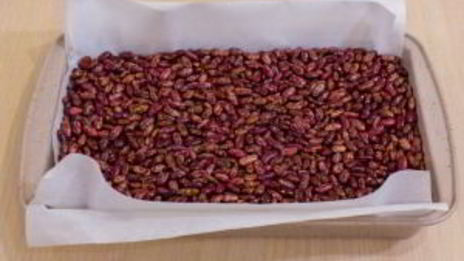 печенье с шоколадом