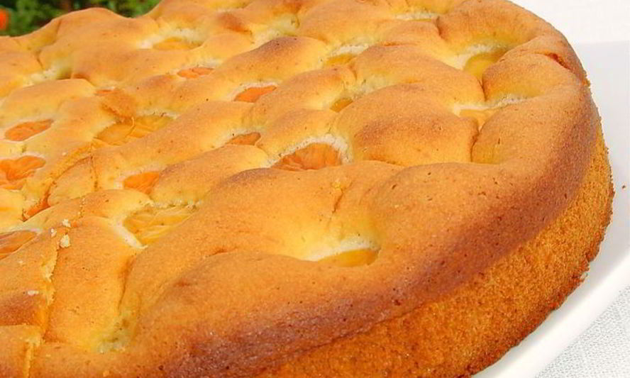 Рецепт бисквитного пирога с медом и абрикосами