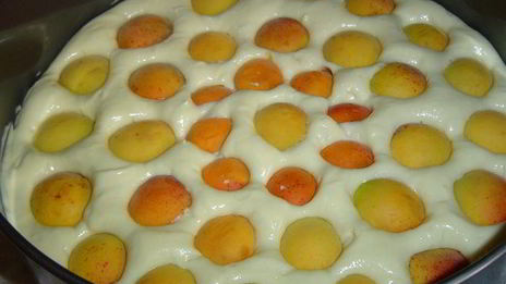 бисквитный пирог с медом и абрикосами