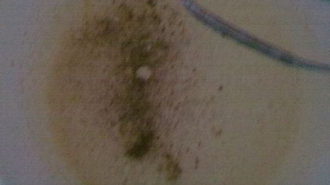 пирог с корицей и шоколадом