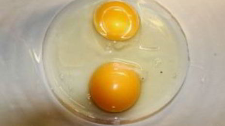 пирог с лососем и брокколи